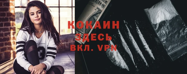 крисы Богородицк