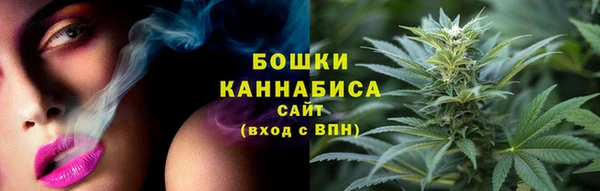 спиды Богородск