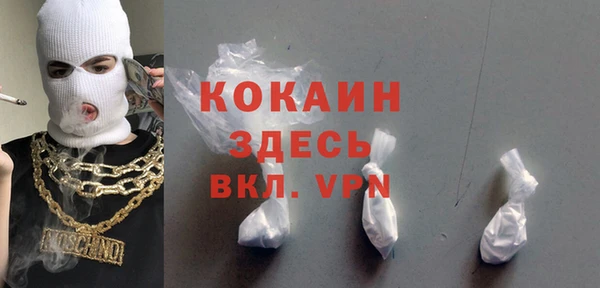 крисы Богородицк