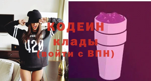 крисы Богородицк