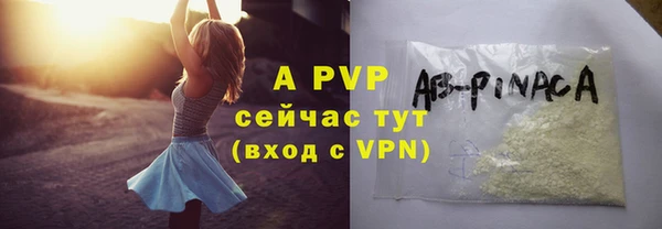 крисы Богородицк