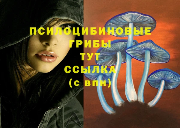 спиды Богородск