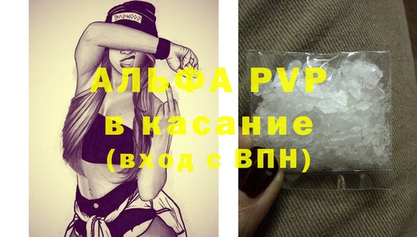 крисы Богородицк