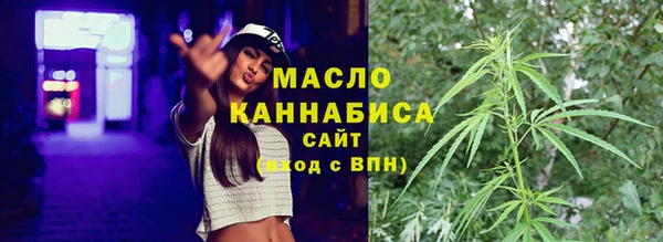 крисы Богородицк