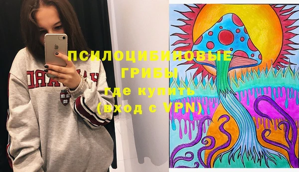спиды Богородск