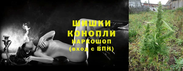крисы Богородицк