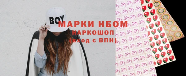 крисы Богородицк
