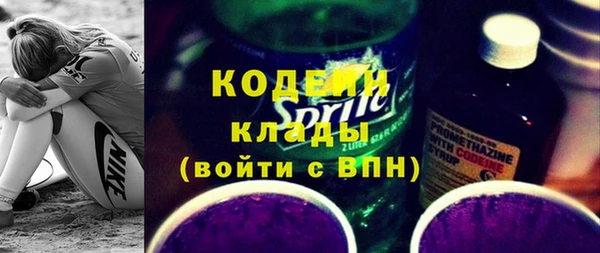 крисы Богородицк